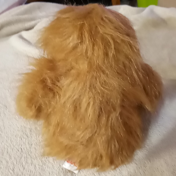 🌺Orangutan webkinz - Picture 2 of 5